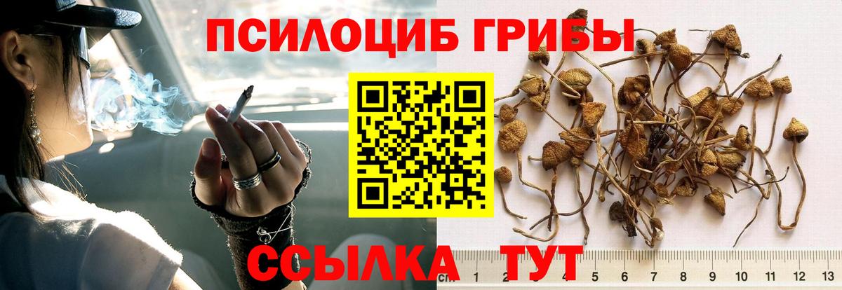 Москва  наркота  Вход с VPN  Псилоцибиновые грибы Magic Shrooms 