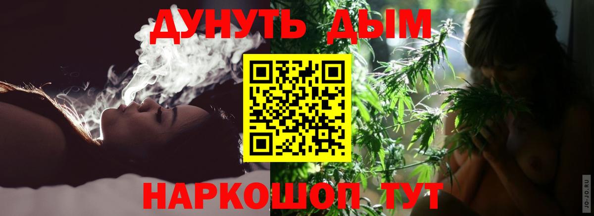 Бошки Шишки планчик Москва